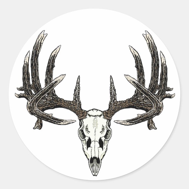 Trophy Whitetail buck Classic Round Sticker (Front)