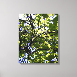 Tropic catalpa tree wild nature canvas print