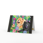 TROPIC TANGO red black chow