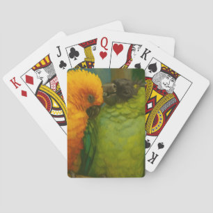 Tropical Affection – Parrots in Forest Light Playing Cards