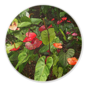 "TROPICAL ANTHURIUM PLANTS" CERAMIC DOOR/PULL CERA CERAMIC KNOB