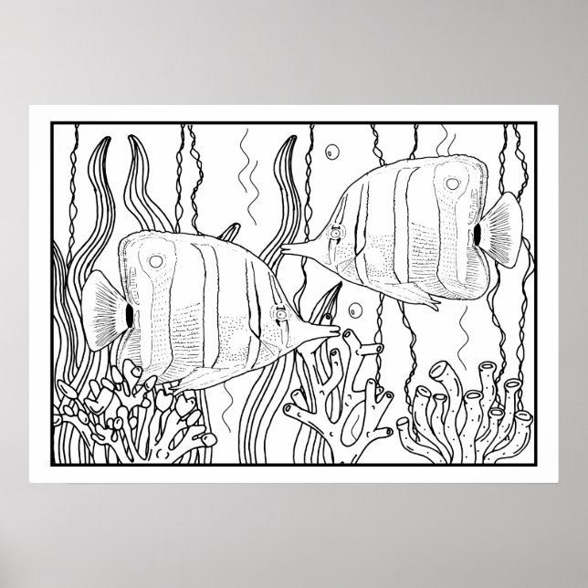 Tropical Aquarium Fish DIY Colouring Poster (Front)