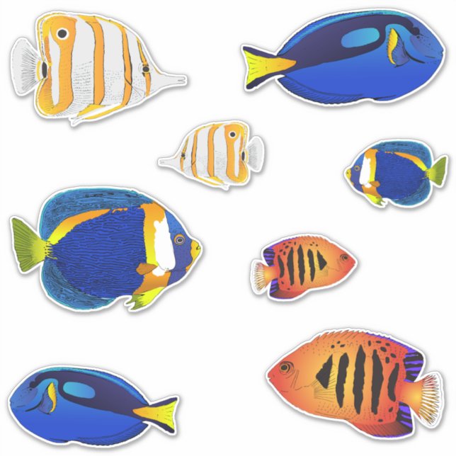 Tropical Aquarium Reef Fish Illustrations (Front)