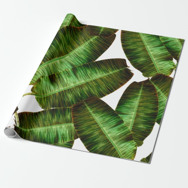 Tropical banana leaves, jungle leaf seamless flora wrapping paper (Unrolled)