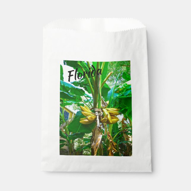 Tropical Banana Palm Tree St Augustine Florida Favour Bag (Front)