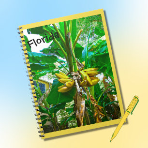 Tropical Banana Palm Tree St Augustine Florida Notebook