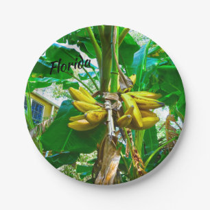 Tropical Banana Palm Tree St Augustine Florida Paper Plate