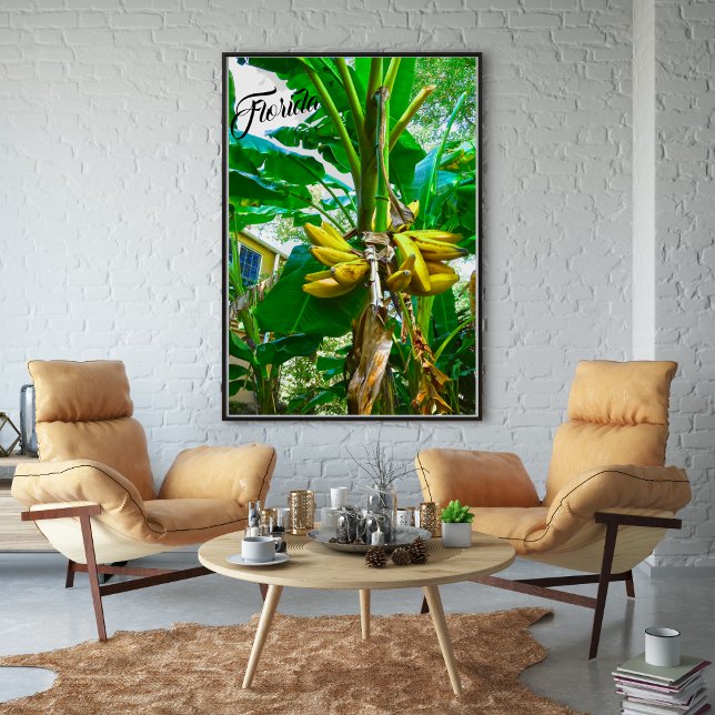 Tropical Banana Palm Tree St Augustine Florida Poster (Creator Uploaded)