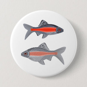 Tropical Barb Fish Red and Grey Exotic Aquatic 3 Inch Round Button