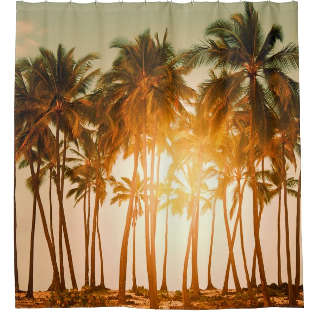 Tropical beach (Front)
