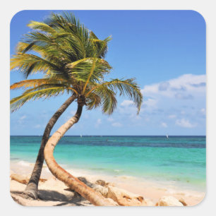 Tropical Beach And Palm Tree Square Sticker