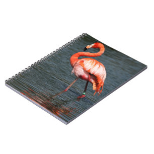 Tropical Beach Birds Destiny Flamingos Notebook