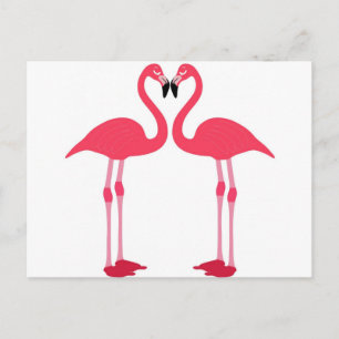 Tropical Beach Birds Destiny Flamingos Postcard