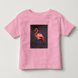 Tropical Beach Birds Destiny Flamingos Toddler T-shirt