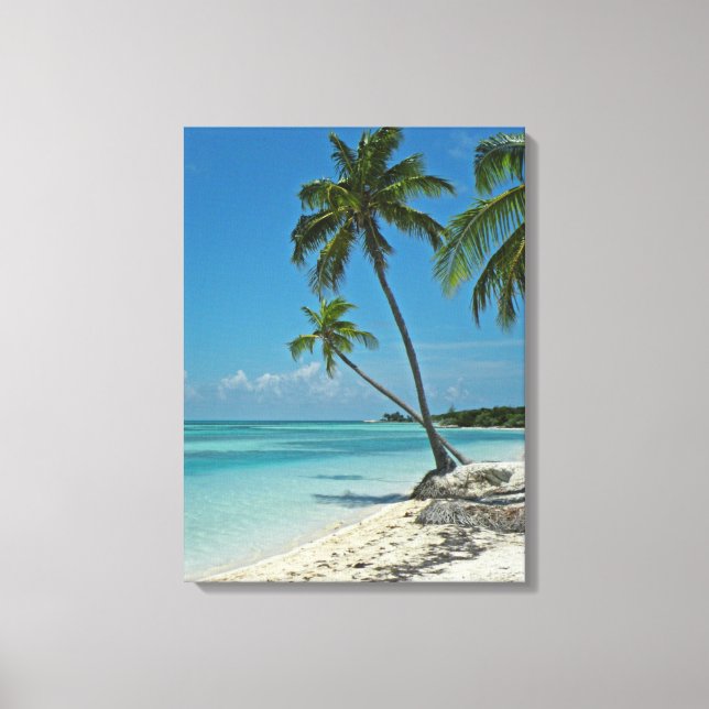 Tropical Beach Canvas Print (Front)