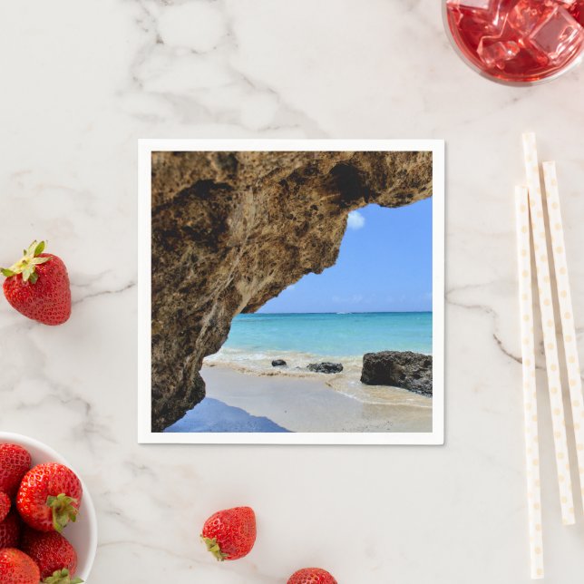 Tropical Beach Coast with a Big Rock Napkin (Insitu)