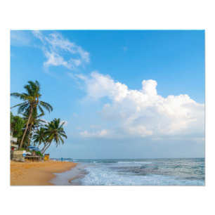 Tropical Beach Coastline and Palms Ocean View Photo Print
