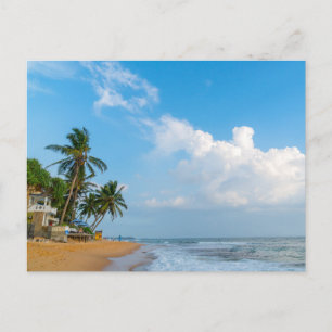 Tropical Beach Coastline and Palms Ocean View Postcard