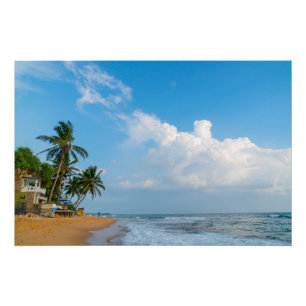 Tropical Beach Coastline and Palms Ocean View Poster