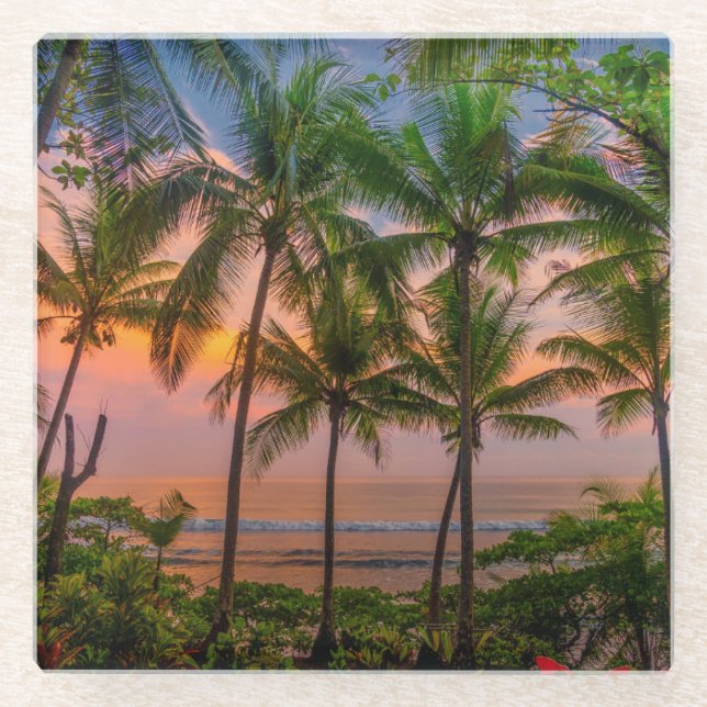 Tropical Beach | Corcovado National Park Glass Coaster (Front)