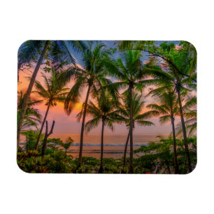 Tropical Beach   Corcovado National Park Magnet