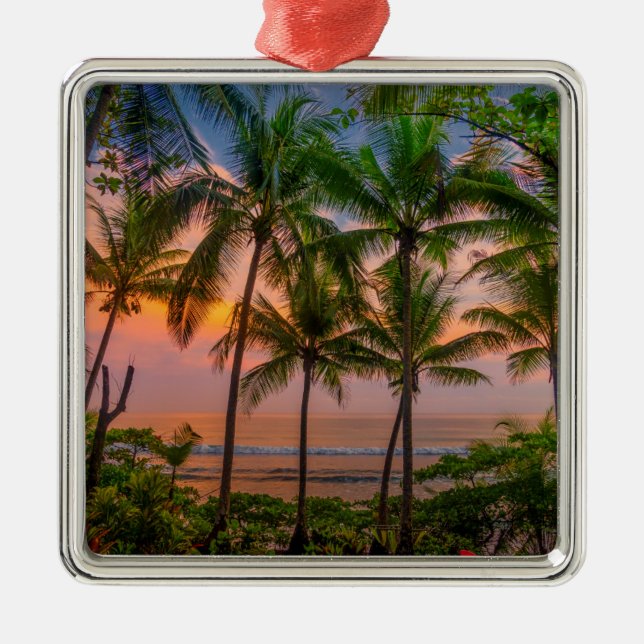 Tropical Beach | Corcovado National Park Metal Ornament (Front)