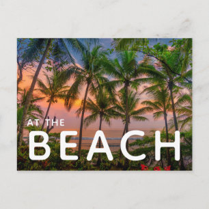 Tropical Beach   Corcovado National Park Postcard