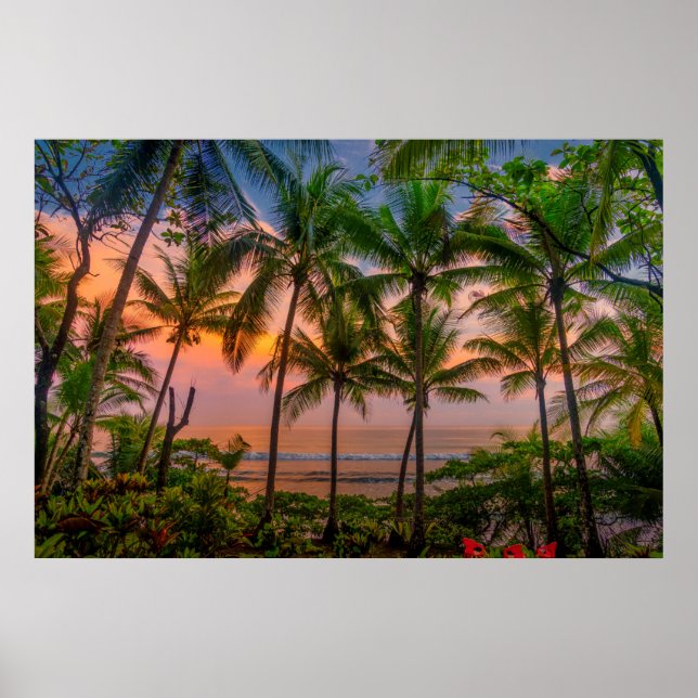 Tropical Beach | Corcovado National Park Poster (Front)