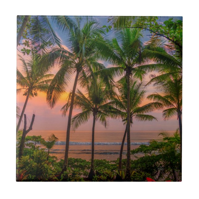 Tropical Beach | Corcovado National Park Tile (Front)