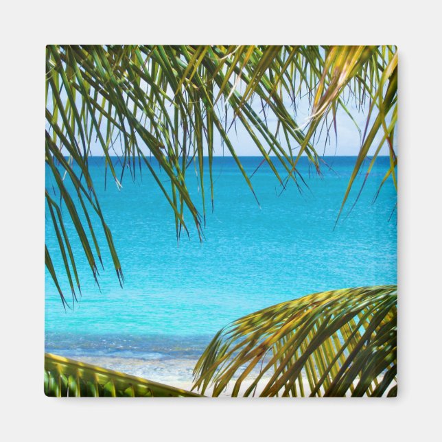 Tropical Beach framed with Palm Fronds Magnet (Front)