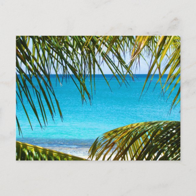 Tropical Beach framed with Palm Fronds Postcard (Front)