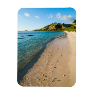 Tropical Beach Landscape, Fiji Magnet