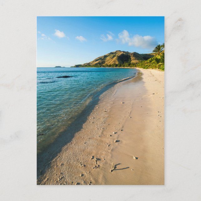 Tropical Beach Landscape, Fiji Postcard (Front)