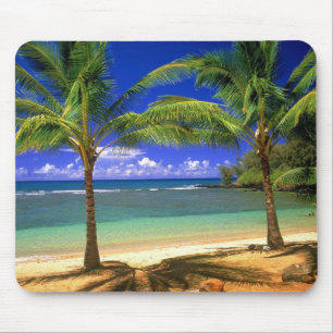 tropical beach mouse pad