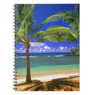 tropical beach notebook
