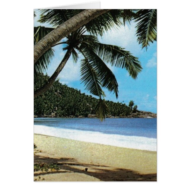 Tropical beach painting (Front)