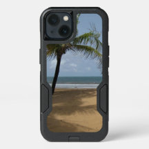 Tropical Beach Palm Tree