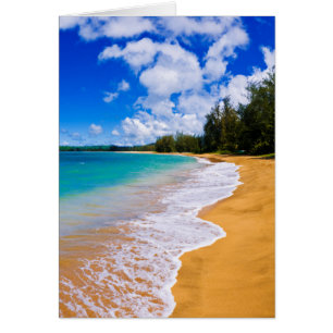 Tropical beach paradise, Hawaii