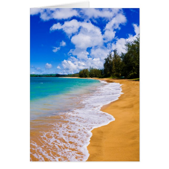 Tropical beach paradise, Hawaii (Front)