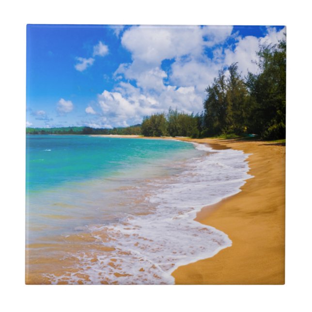 Tropical beach paradise, Hawaii Tile (Front)