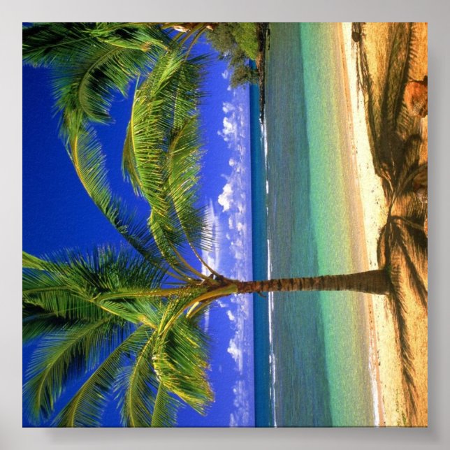 Tropical Beach Paradise Poster (Front)