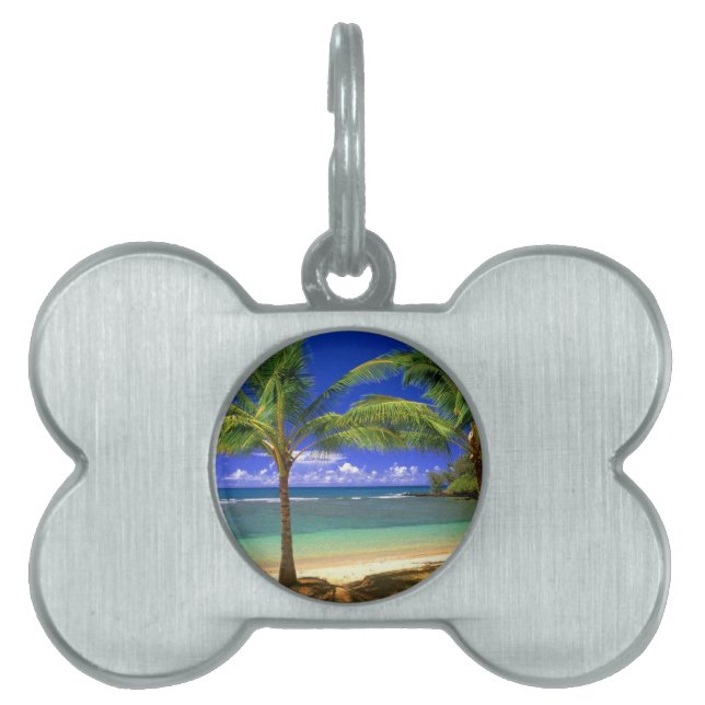 tropical beach pet ID tag (Front)