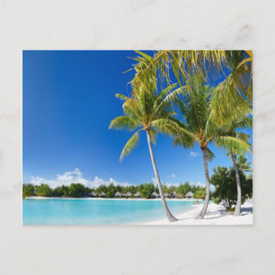 Tropical beach postcard