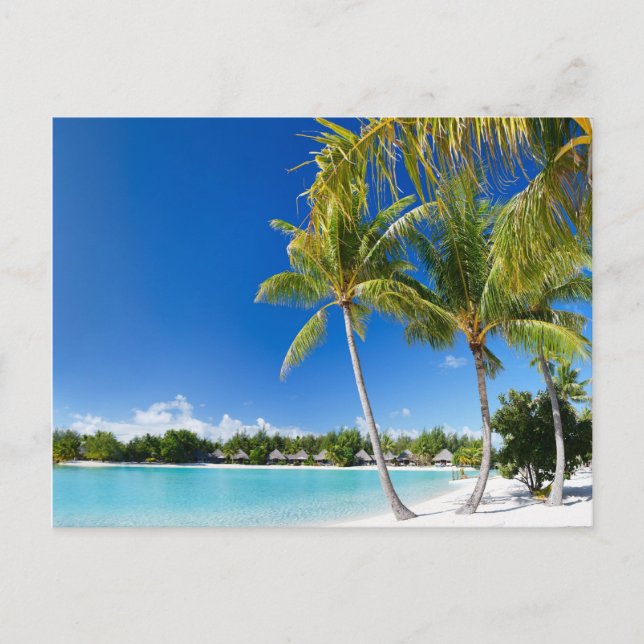 Tropical beach postcard (Front)