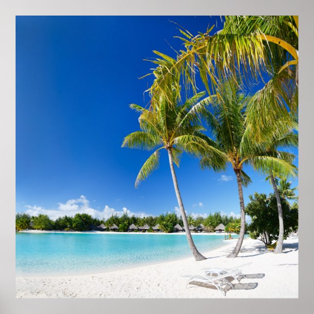 Tropical beach poster (Front)