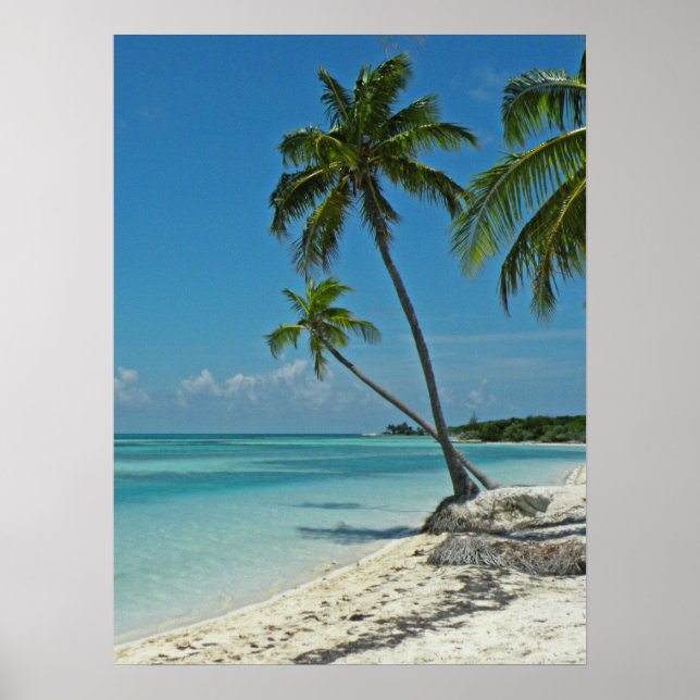 Tropical Beach Poster (Front)