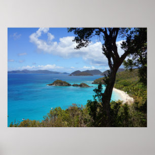 Tropical Beach Poster