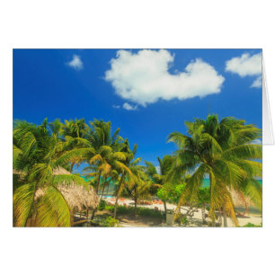 Tropical beach resort, Belize