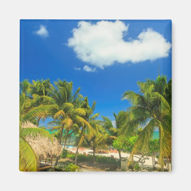 Tropical beach resort, Belize Magnet (Front)