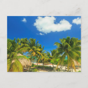 Tropical beach resort, Belize Postcard